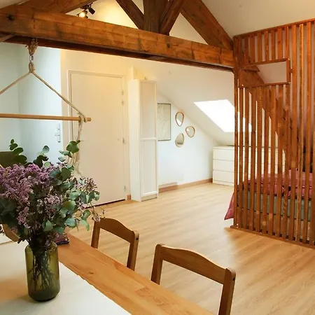 Apartment De Charme A Nancy